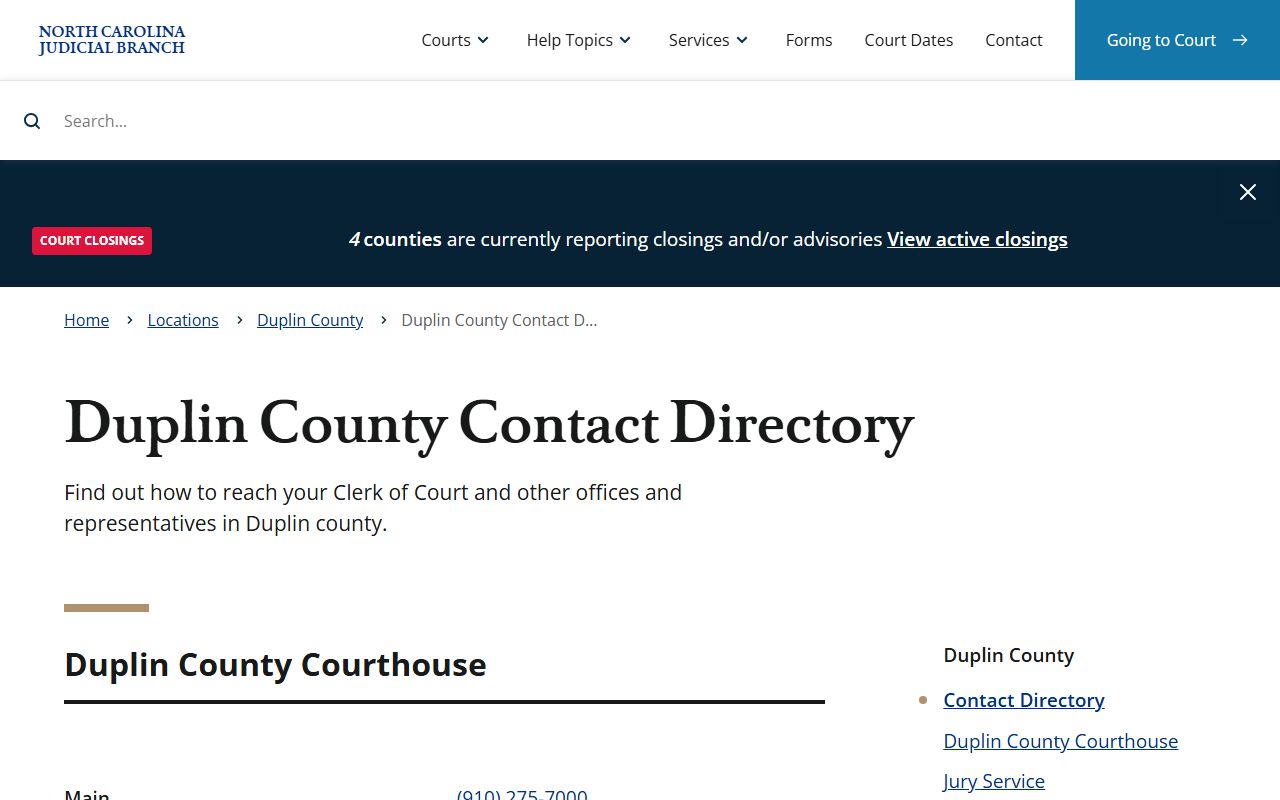 Duplin County felony records