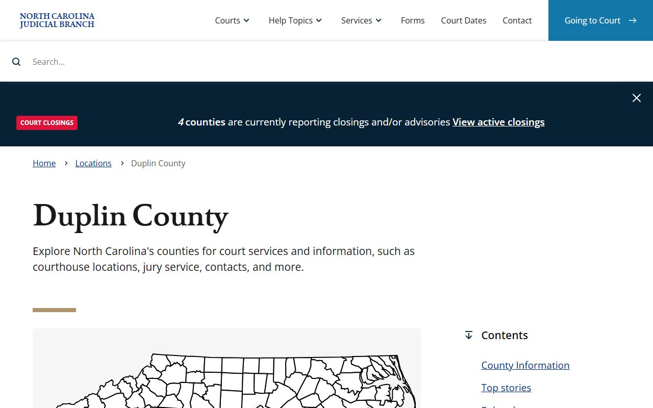 Duplin County felony records