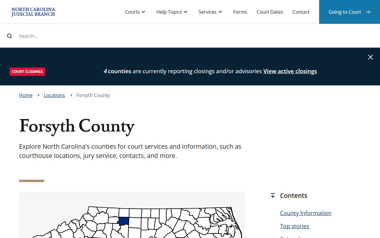 Forsyth County felony records